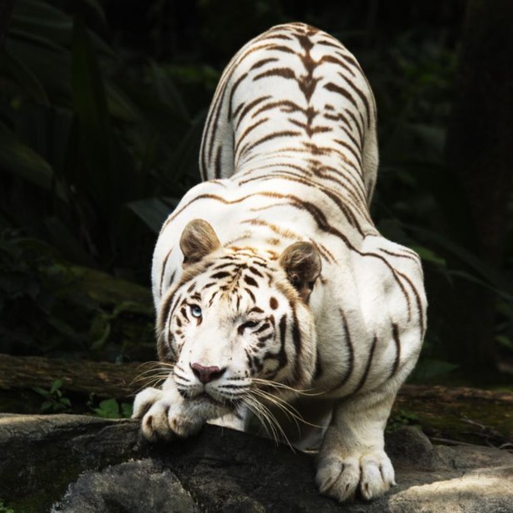 Meet your Posher, Elynnette